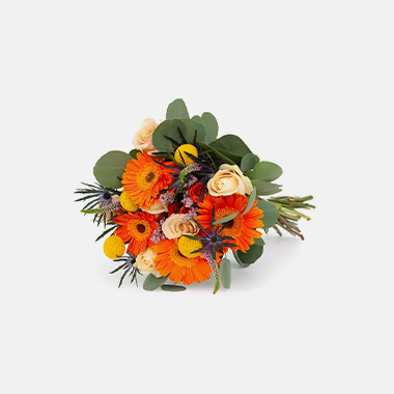 Live Plants