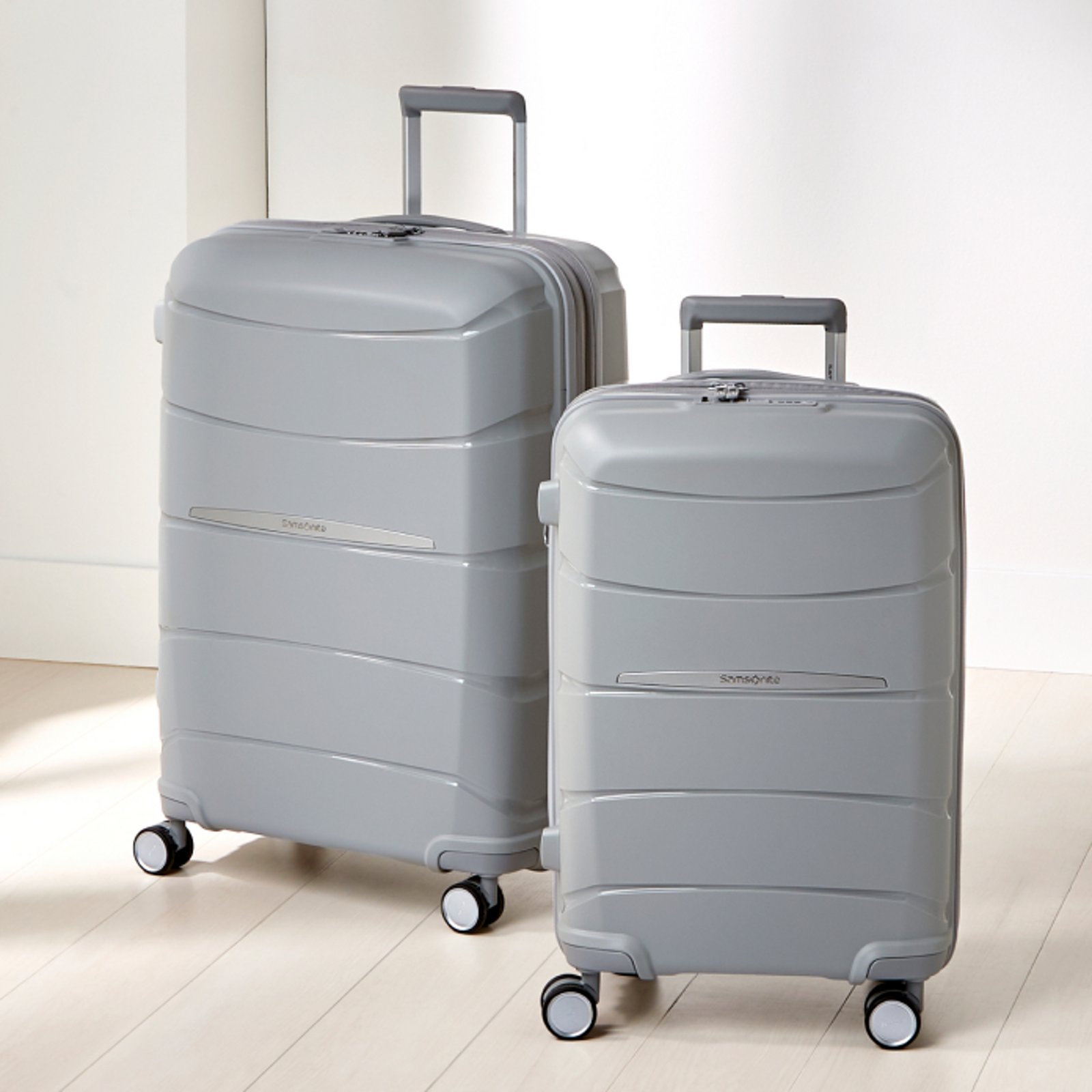 Checked Luggage